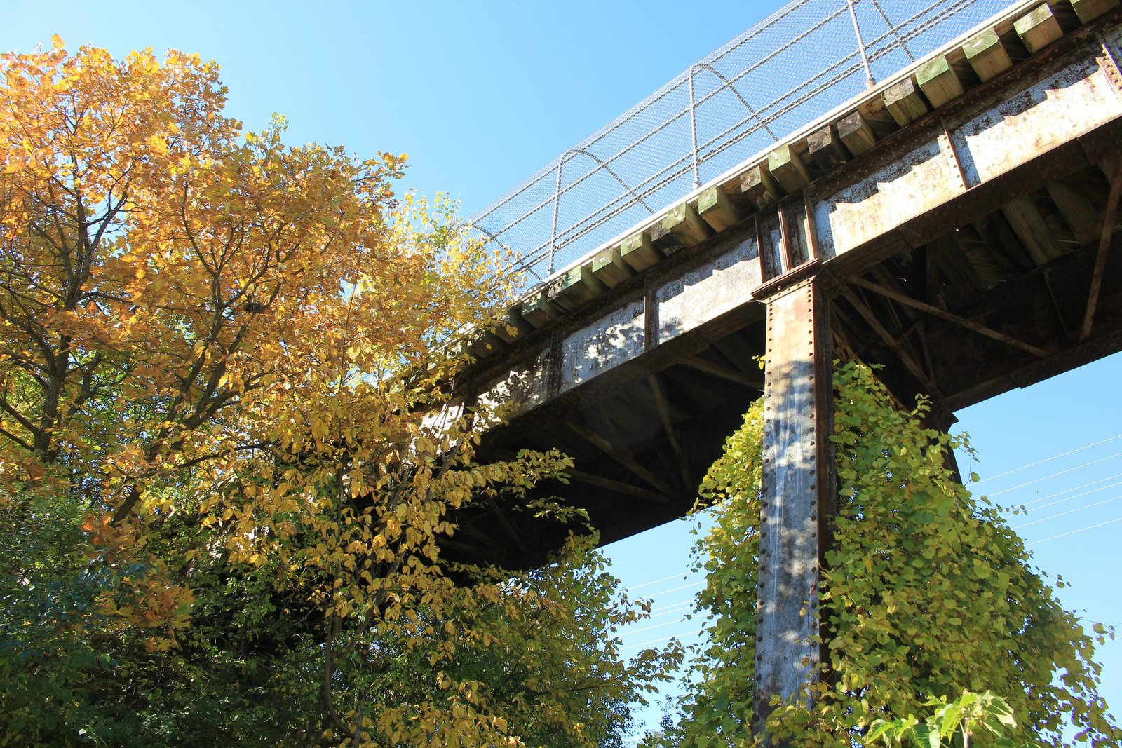 South span